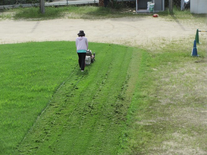 職員が芝刈り機で芝をかっている写真