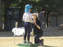盾