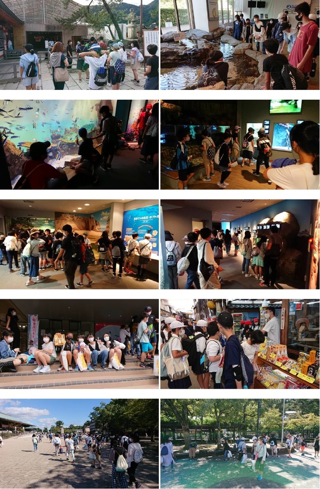 宮島水族館＆お土産タイム