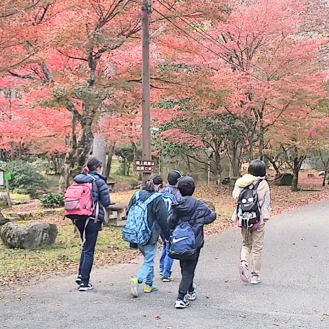 キャンプ場のある山の方に向かって、秋を楽しみます