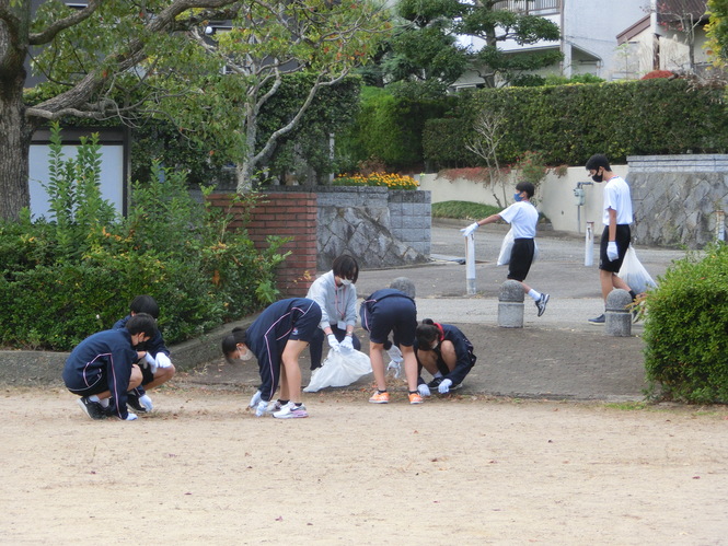 公園の落ち葉ひろい