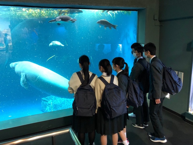 鳥羽水族館1