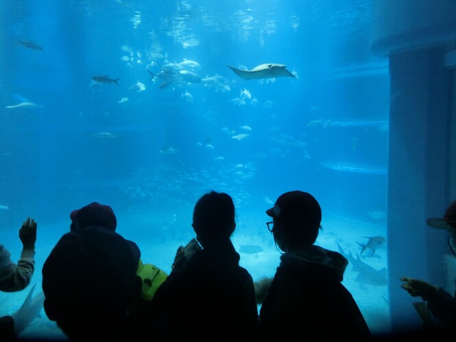 海遊館