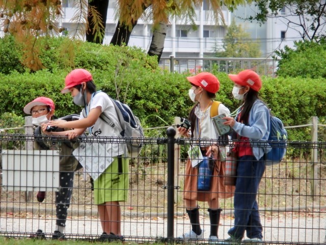 野鳥観察