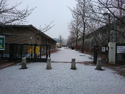 雪の日の校門