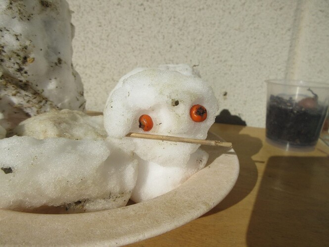 子どもの作った雪ダルマの写真