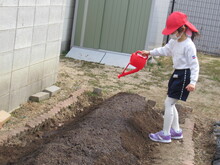 水やり