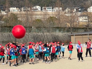 大玉ころがし赤