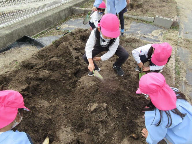 畑で畝を作るもも組子どもの写真