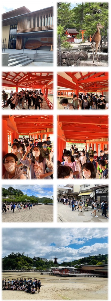 修学旅行　厳島神社見学の様子