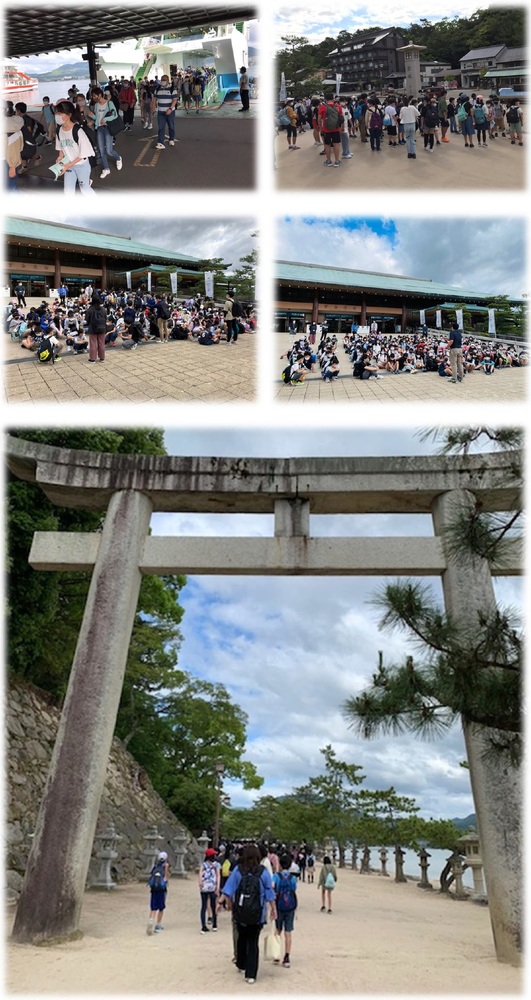 修学旅行　宮島到着の様子