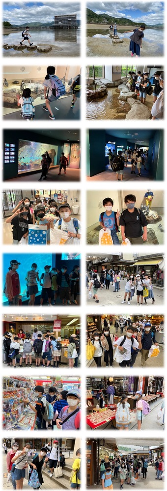 修学旅行　宮島水族館＆宮島表参道商店街の様子