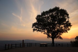 夕景