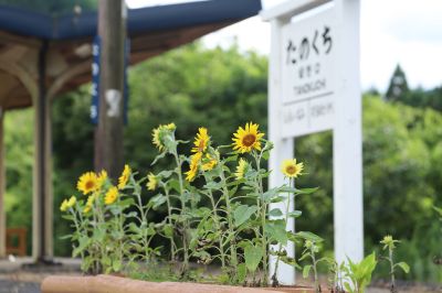 ひまわりの駅