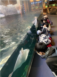 水族館