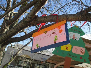 昨日、サンタさんへのお手紙を、子どもたちは書きました。それを、園庭の桜の木の枝に、先生にくくりつけてもらいました。
