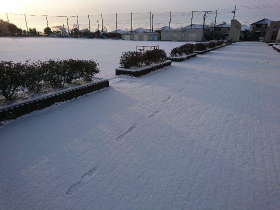 雪