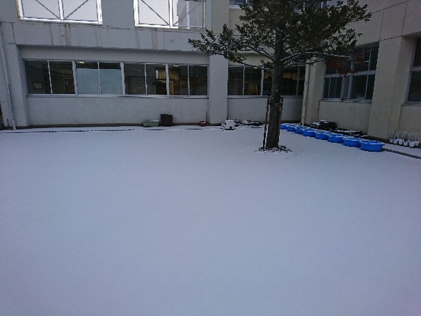 雪