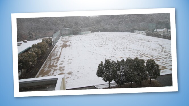 雪が積もった校庭