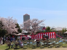 お花見会の写真