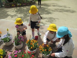 花びらを集めている子どもたちの写真