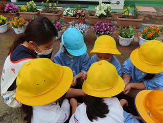 人参の種を植えている子どもたちの写真