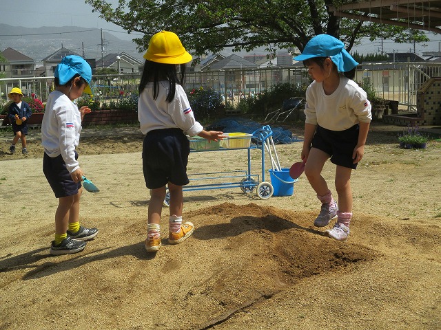 久しぶりに、土のお山に登ってみました。