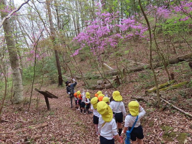 トンネル
