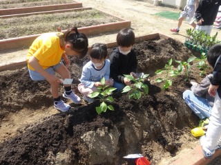 学年園