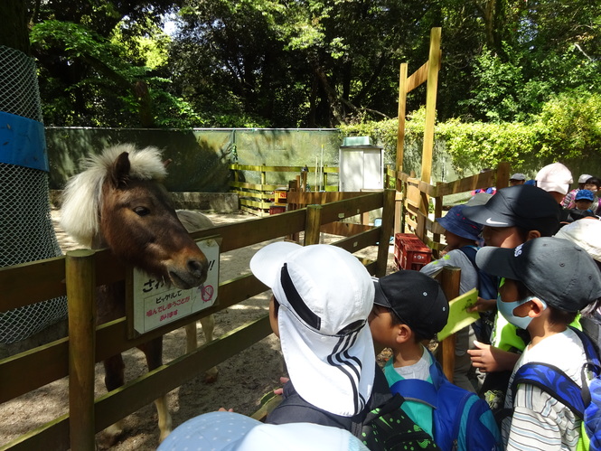 動物園