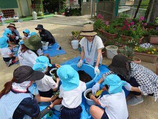 野菜の苗を植えている子どもたちの写真