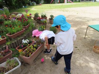 子どもたちの写真