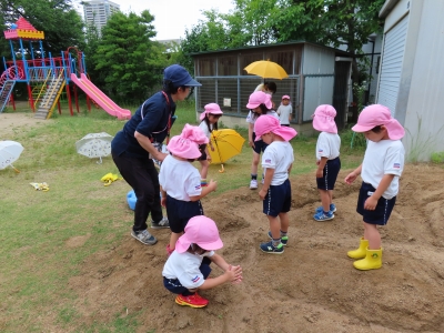 雨の散歩をしている子どもたちの写真