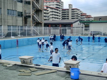 本日の南ぴ中