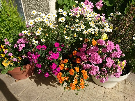 花
