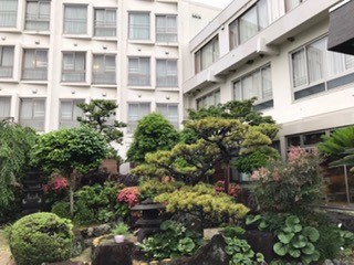 庭
