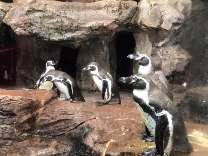 水族園