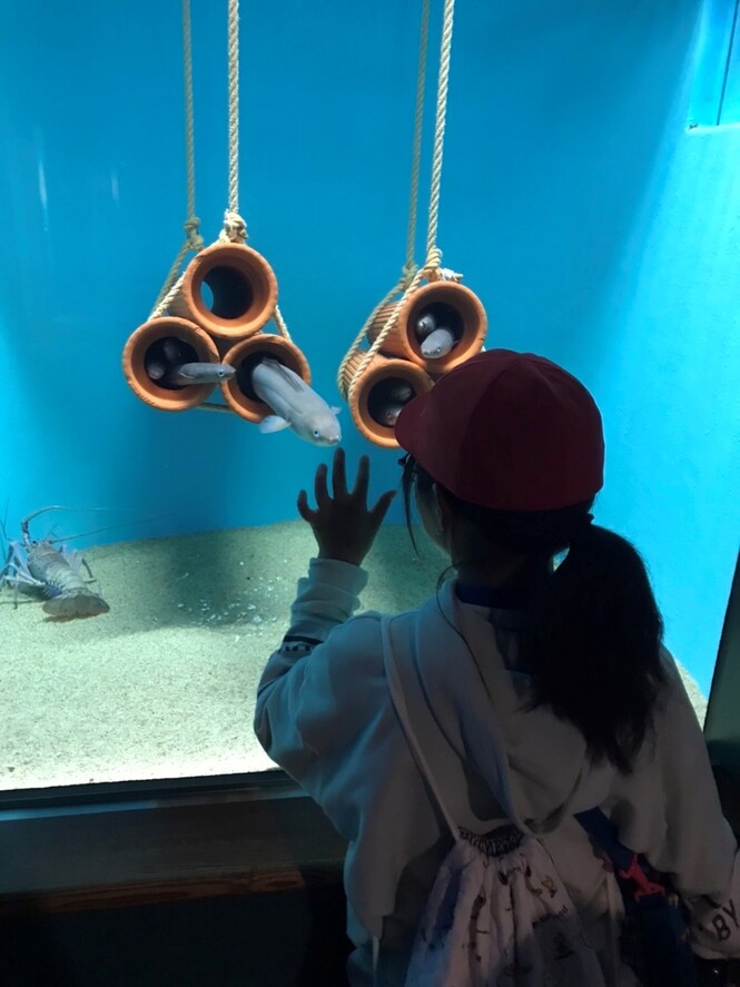 水