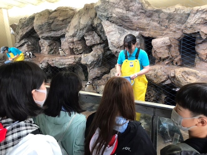 水