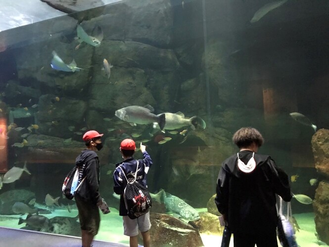 水族園