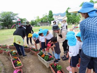 花の苗に水やりをしている子どもたちの写真