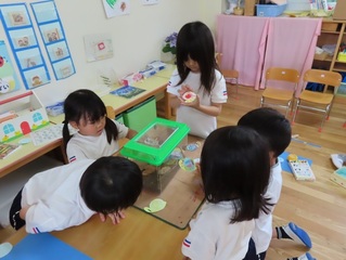 カタツムリと遊んでいる子どもたちの写真