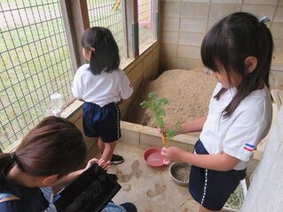 ウサギにご飯をあげているところを中継で見てもらっている子どもたちの写真