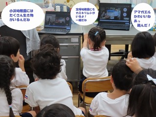 小浜幼稚園の友達とテレビ電話で話している子どもたちの写真