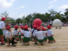 運動会の様子11