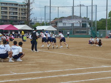 応援する写真