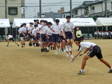 体育大会