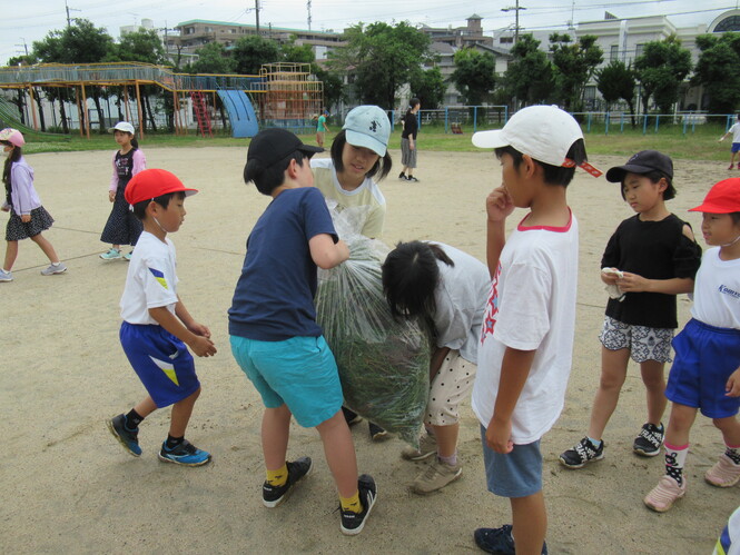 草むしり集会