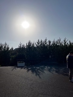 朝