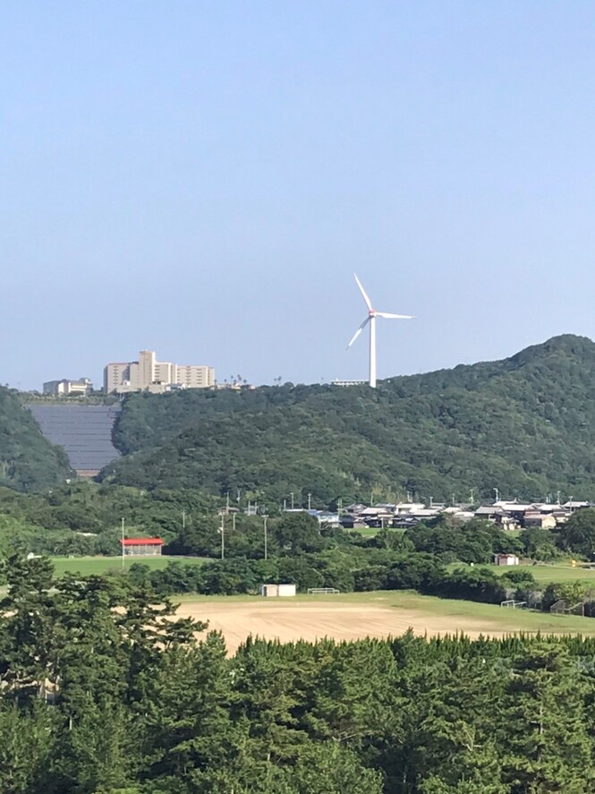 海